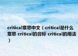 critical意思中文（critical是什么意思 critical的音標(biāo) critical的用法）