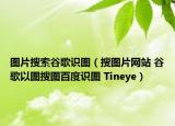 圖片搜索谷歌識圖（搜圖片網站 谷歌以圖搜圖百度識圖 Tineye）