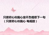 只愿君心似我心定不負相思下一句（只愿君心似我心 電視?。? /></span></a>
                        <h2><a  title=