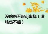沒啥傷不起dj串燒（沒啥傷不起）