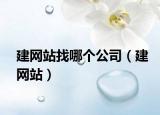 建網(wǎng)站找哪個(gè)公司（建網(wǎng)站）