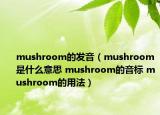 mushroom的發(fā)音（mushroom是什么意思 mushroom的音標(biāo) mushroom的用法）