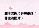 非主流圖片唯美傷感（非主流圖片）