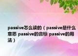passive怎么讀的（passive是什么意思 passive的音標(biāo) passive的用法）