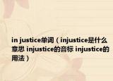 in justice單詞（injustice是什么意思 injustice的音標(biāo) injustice的用法）