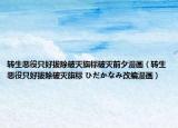 轉(zhuǎn)生惡役只好拔除破滅旗標破滅前夕漫畫（轉(zhuǎn)生惡役只好拔除破滅旗標 ひだかなみ改編漫畫）