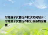 非婚生子女的撫養(yǎng)權(quán)該如何起訴（非婚生子女的撫養(yǎng)權(quán)歸屬該如何變更）