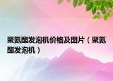 聚氨酯發(fā)泡機價格及圖片（聚氨酯發(fā)泡機）