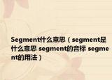 Segment什么意思（segment是什么意思 segment的音標 segment的用法）