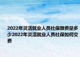 2022年靈活就業(yè)人員社保繳費(fèi)是多少2022年靈活就業(yè)人員社保如何交費(fèi)