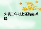 欠費(fèi)三年以上還能起訴嗎