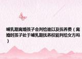 哺乳期離婚孩子會(huì)判給誰以及撫養(yǎng)費(fèi)（離婚時(shí)孩子處于哺乳期撫養(yǎng)權(quán)能判給女方嗎）