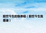 前世今生的緣原唱（前世今生我是誰）