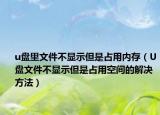 u盤里文件不顯示但是占用內(nèi)存（U盤文件不顯示但是占用空間的解決方法）