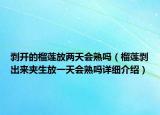 剝開(kāi)的榴蓮放兩天會(huì)熟嗎（榴蓮剝出來(lái)夾生放一天會(huì)熟嗎詳細(xì)介紹）