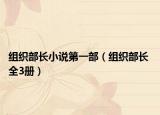 組織部長(zhǎng)小說(shuō)第一部（組織部長(zhǎng) 全3冊(cè)）