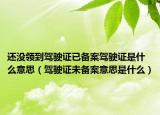 還沒領(lǐng)到駕駛證已備案駕駛證是什么意思（駕駛證未備案意思是什么）