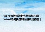 word如何快速制作組織結構圖（Word如何快速制作組織結構圖）