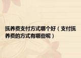 撫養(yǎng)費支付方式哪個好（支付撫養(yǎng)費的方式有哪些呢）