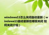 windows11怎么關(guān)閉自動(dòng)更新（windows11自動(dòng)更新在哪里關(guān)閉 如何關(guān)閉介紹）