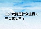 三頭六臂是什么生肖（三頭豬頭三）