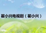 翟小興電視?。ǖ孕∨d）