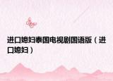 進(jìn)口媳婦泰國電視劇國語版（進(jìn)口媳婦）