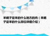 羊蝎子是羊的什么地方的肉（羊蝎子是羊的什么部位詳細(xì)介紹）