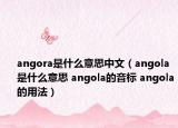 angora是什么意思中文（angola是什么意思 angola的音標(biāo) angola的用法）