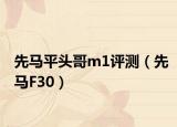 先馬平頭哥m1評測（先馬F30）