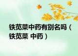 鐵莧菜中藥有別名嗎（鐵莧菜 中藥）