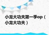 小龍大功夫第一季op（小龍大功夫）