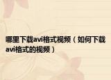 哪里下載avi格式視頻（如何下載avi格式的視頻）