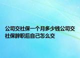 公司交社保一個月多少錢公司交社保辭職后自己怎么交