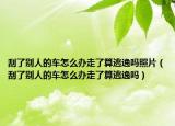 刮了別人的車怎么辦走了算逃逸嗎照片（刮了別人的車怎么辦走了算逃逸嗎）