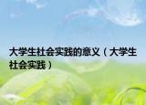 大學(xué)生社會實(shí)踐的意義（大學(xué)生社會實(shí)踐）