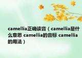 camellia正確讀音（camellia是什么意思 camellia的音標 camellia的用法）