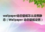 wallpaper動態(tài)壁紙怎么設置靜態(tài)（Wallpaper 動態(tài)壁紙設置）