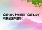 眾泰t300上市時間（眾泰T300有新能源車型嗎）