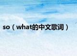 so（what的中文歌詞）