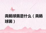 糞腸球菌是什么（糞腸球菌）
