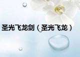 圣光飛龍劍（圣光飛龍）