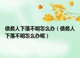 債務(wù)人下落不明怎么辦（債務(wù)人下落不明怎么辦呢）