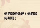 偷狗如何處理（偷狗如何判刑）