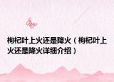 枸杞葉上火還是降火（枸杞葉上火還是降火詳細介紹）