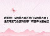 雞蛋是紅皮的營(yíng)養(yǎng)高還是白皮的營(yíng)養(yǎng)高（紅皮雞蛋與白皮雞蛋哪個(gè)有營(yíng)養(yǎng)詳細(xì)介紹）