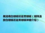 做湯用白胡椒還是黑胡椒（胡辣湯放白胡椒還是黑胡椒詳細(xì)介紹）