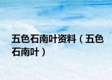 五色石南葉資料（五色石南葉）