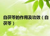 白茯苓的作用及功效（白茯苓）
