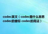 codec英文（codec是什么意思 codec的音標(biāo) codec的用法）